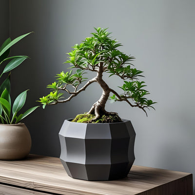 Krukor & Planteringar