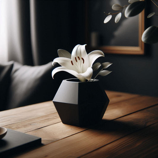 Vas Pentagon – Modern Design